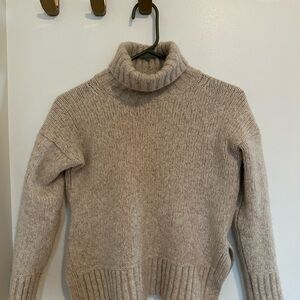 Cozy Beige Mixed Wool Everlane Turtleneck Sweater